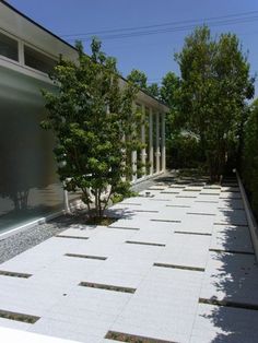 an empty walkway between two buildings with trees in the foreground and bushes on either side