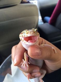 a small gecko sitting on top of a persons hand with it's mouth open