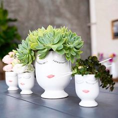 three white vases with plants in them on a table