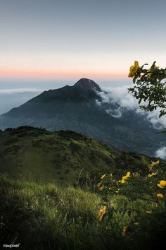 the sun is setting on top of a mountain with yellow flowers in the foreground