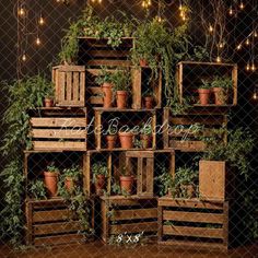 several wooden crates filled with plants and potted plants