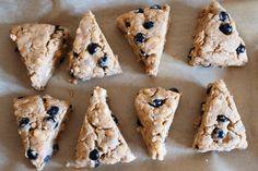 eight pieces of blueberry scones laid out on a piece of parchmented paper