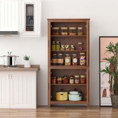 a kitchen with a potted plant and some jars on the shelf next to it