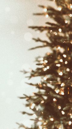 a close up of a christmas tree with lights