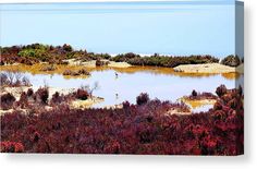 a lake surrounded by trees and bushes with blue sky in the background canvas art print