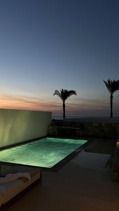 an empty swimming pool at dusk with palm trees in the background