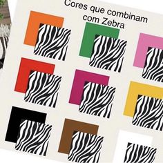 a zebra standing next to a bunch of different colored squares