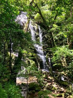 a small waterfall in the middle of a forest