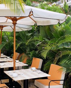 an outdoor dining area with tables, chairs and umbrellas in front of palm trees