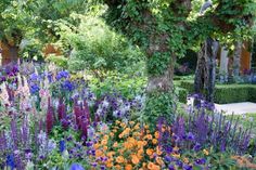 the garden is full of colorful flowers and trees