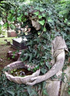 a statue is covered in ivy and water