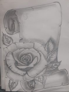 a pencil drawing of a rose on a piece of paper