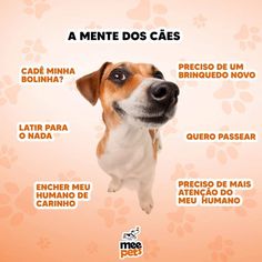 a dog is looking up at the camera with words in spanish and english on it