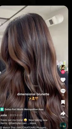 Dark Chocolate Brown Hair With Light Brown Highlights, Mocha Hair With Lowlights, Dimensional Brunette Chocolate Brown, Low Maintence Brunette Balayage, Chocolate Brunette With Dimension, Carmel Honey Brunette, Jess Vestal Hair, Perfect Brunette Hair, Low Maintenance Dark Brown Hair