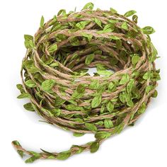 a bunch of green leaves sitting on top of a white table next to a rope