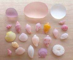 🐚🩷   #shells #seaglass #seaglassart #seaglassearrings #pink #pretty #cute #pastel #girly #mini #sea #ocean #oceanart #yellow #transparent Trinket Collection, Seashells Photography, No Ordinary Girl, Treasure Beach, Beautiful Shells, Art 2023, Scenery Pictures, Cute Pastel, Beach Combing