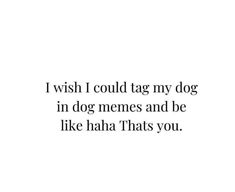 a black and white photo with the words i wish i could tag my dog in dog memes and be like haha thats you