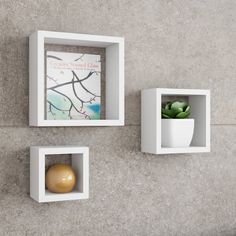 three square white shelves on the wall with plants in them and a vase next to one