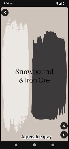 the text snowbound and iron one is shown in black on a gray background with white paint