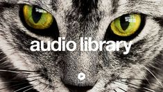 a close up of a cat's face with the words audio library on it