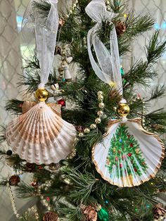 three seashell ornaments hanging from a christmas tree