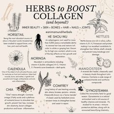 Inflammatory Recipes, Medical Herbs, Magia Das Ervas, Boost Collagen, Magic Herbs, Magical Herbs, Herbal Apothecary, Natural Healing Remedies, Herbal Healing