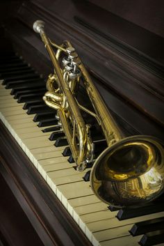 a brass instrument sitting on top of a piano