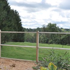 a fenced in area with green grass and trees on the other side, surrounded by bushes