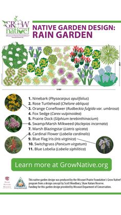 an advertisement for native garden design rain garden, featuring various plants and flowers in different colors