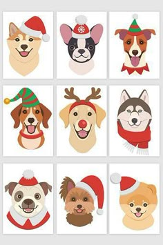 six different dogs wearing christmas hats and scarves