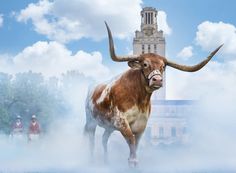 a bull with large horns standing in front of a tall building on a foggy day