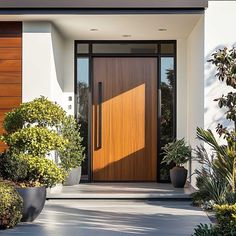 a modern entrance with potted plants and wooden doors