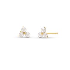 The Trio Pearl Stud Earrings are a classic accessory, showcasing three radiant, premium quality pearls set on a sleek stud design. Diamonds Direct, Stud Design, Pearl Set, Pearl Stud Earrings, Pearl Studs, Premium Quality, Jewelry Earrings, Sleek, Diamonds