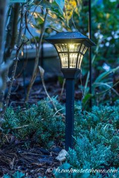 How To Design And Install Landscape Lighting In Your Yard Front Yard Garden Landscaping, Solar Lighting, Beautiful Yards, Outdoor Candles