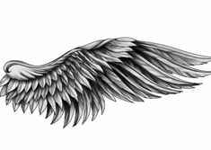 an artistic black and white drawing of wings