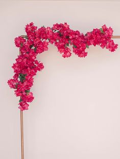 pink flowers are growing on the corner of a white wall with a gold metal frame