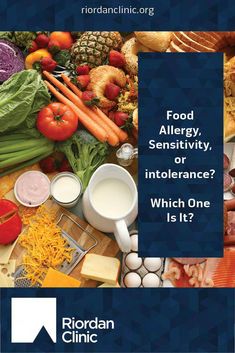 Food Definition, Nutrition Therapy, Food Sensitivity, Prebiotics And Probiotics, Naturopathic Medicine, Dairy Free Cheese, Best Gluten Free Recipes, Food Intolerance