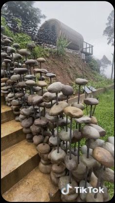 there are many rocks stacked on the steps