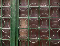 an image of a green door with metal bars on the sides and round designs on the outside