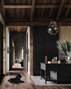 a dog laying on the floor in a room with wooden walls and ceilings, next to an entryway