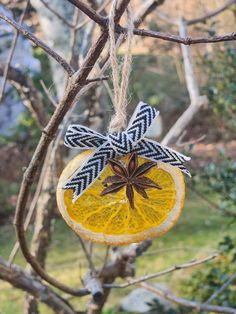 an ornament hanging from a tree decorated with orange slices and star anisette