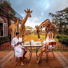 two giraffes standing next to each other in front of a woman sitting at a table