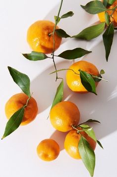 oranges with green leaves on a white surface