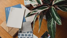 a wooden table topped with lots of different types of paint and decorating supplies next to a potted plant