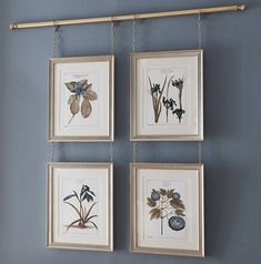 three framed flowers hanging on a wall