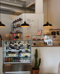 the inside of a deli with lots of food on display and cactus in front