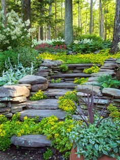 a stone path in the middle of a forest filled with trees and flowers, surrounded by large rocks