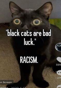 a black cat with the caption'black cats are bad luck, racism '