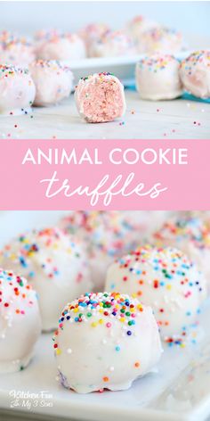 white chocolate truffles with sprinkles and pink frosting on top