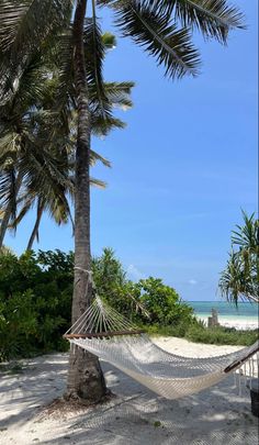 a hammock hanging between two palm trees on the beach